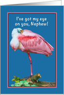 Birthday, Nephew, Roseate Spoonbill Bird, Humor card