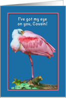 Birthday, Cousin, Roseate Spoonbill Bird, Humor card
