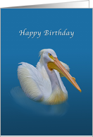 Birthday, White Pelican on Blue card