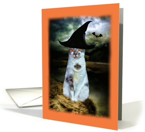Halloween, Cat in Witch Hat, Spooky card (872648)