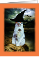 Halloween, Cat in Witch Hat, Spooky card