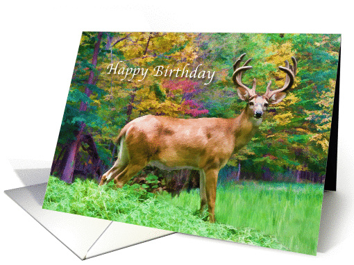 Birthday, Deer in the Forest card (918035)