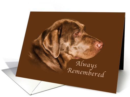 Sympathy, Pet, Labrador Retriever Dog card (925531)