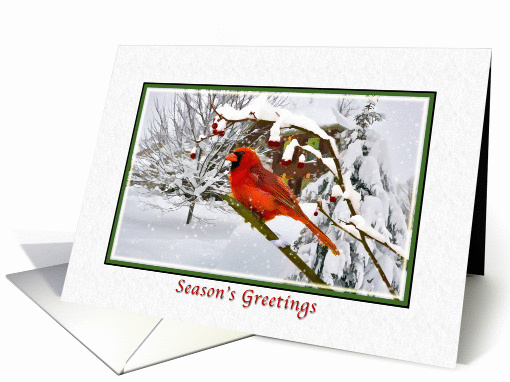 Christmas, Season's Greetings, Cardinal Bird, Snow, Red Berries card