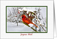 Christmas, Joyeux Nol, French, Cardinal Bird, Snow card
