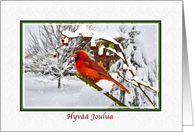 Christmas, Hyv Joulua, Finnish, Cardinal Bird, Snow card