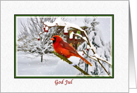 Christmas, God Jul, Norwegian, Cardinal Bird, Snow card