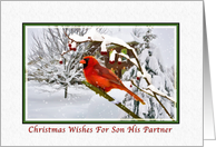 Christmas Wishes, Son and Partner, Cardinal Bird, Snow card