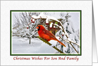 Christmas Wishes, Son and Family, Cardinal Bird, Snow card