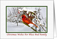 Christmas Wishes, Niece and Family, Cardinal Bird, Snow card