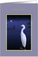 Christmas, Joyeux Nol, French, Snowy Egret, Nativity card