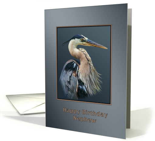 Birthday, Nephew, Great Blue Heron Bird on Gray and Silver card