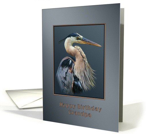 Birthday, Grandpa, Great Blue Heron Bird on Gray and Silver card