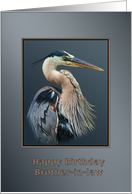 Birthday, Brother-in-law, Great Blue Heron Bird on Gray and Silver card