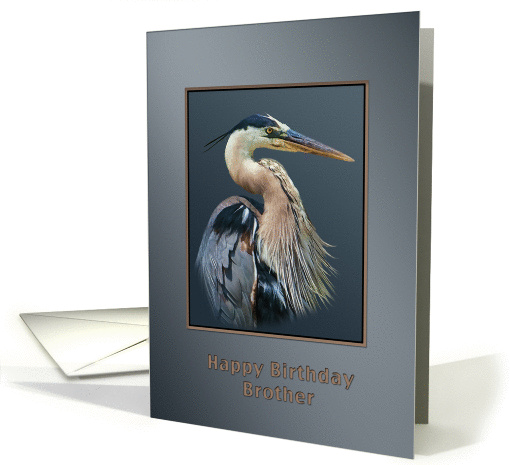 Birthday, Brother, Great Blue Heron Bird on Gray and Silver card