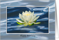 Birthday, Water Lily...