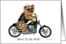 Yorkie Biker, Born To Be Wild Birthday card