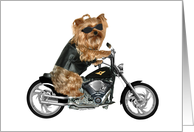 Yorkie Biker on custom motorcycle card