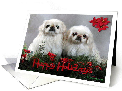 Happy Holidays White Pekingese card (883844)