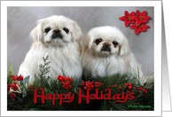 Happy Holidays White Pekingese card