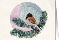 Towee in Winter card