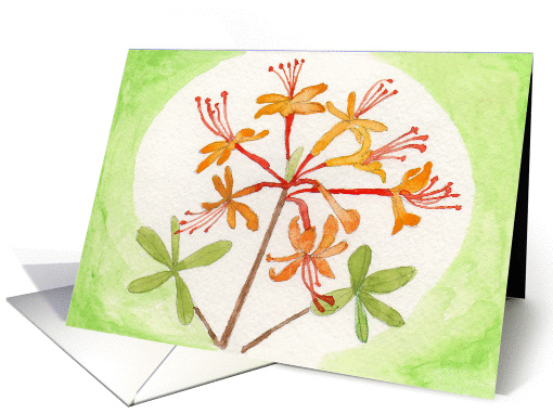 Honeysuckle card (285156)