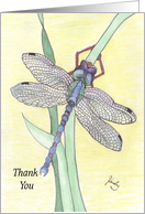 Dragonfly Thank You Card