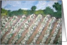 Alabama Cotton Field card