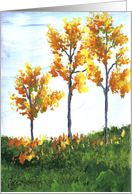 Falling Leaves, Autumn Trees, Thanksgiving, Fall, by Ellie card