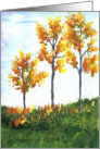 Falling Leaves, Autumn Trees, Thanksgiving, Fall, by Ellie card