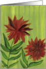 Red Poinsettia, Christmas Flower, Green Background by Ellie card