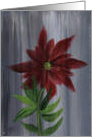 A Christmas Poinsettia for you! Red with Yellow and Green Center on a Gray and White Background! by Ellie card