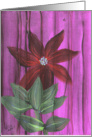 A Pretty Red Poinsettia to Brighten Your Christmas!by Ellie card