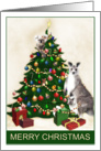 Australian Native Animals Christmas card