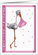 Special Delivery - Congratulations Girl card