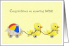 Double Ducks - Congratulations Expecting Twins card