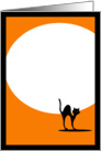 Halloween Black Cat card