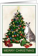 Australian Native Animals Christmas card