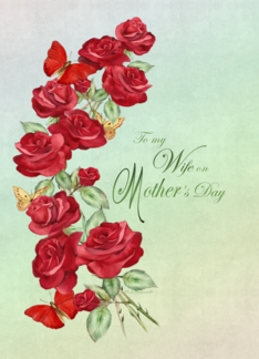 Roses For Mother -...