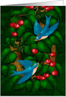 Love Birds - Hearts - Cherries Note card