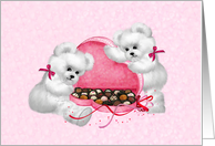 Teddy Bears Chocolate Box Valentine card