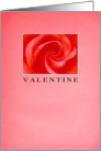 Pink Rose Valentine card