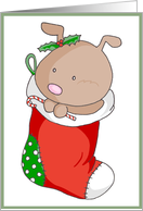 Stocking Puppy card