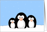 Penguin Family card