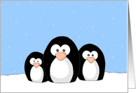 Penguin Family