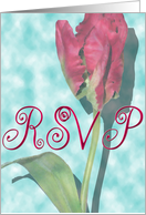 RSVP Red Tulip