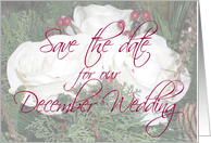 Save the Date - December Wedding card