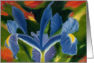 Iris oil painting card