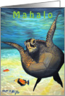Happy Honu Green Sea Turtle - Thank you - Mahalo card
