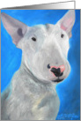 Bull Terrier card